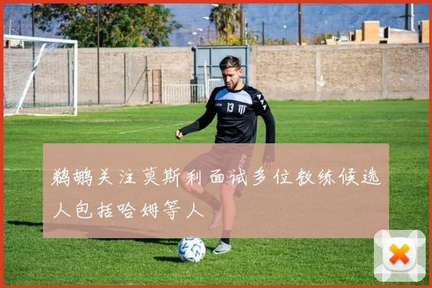 鹈鹕关注莫斯利面试多位教练候选人包括哈姆等人